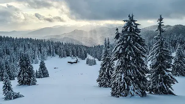 Апартамент Камелия в Пампорово - планина и писти